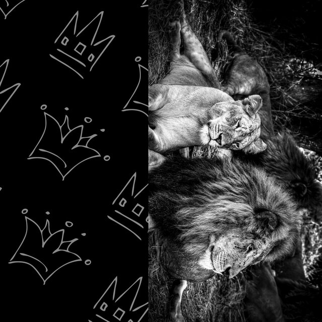 Kings & Queens