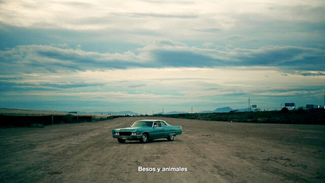 Besos y Animales (Lyric Video)
