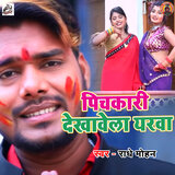 Pichkari Dikhawela Yaarwa