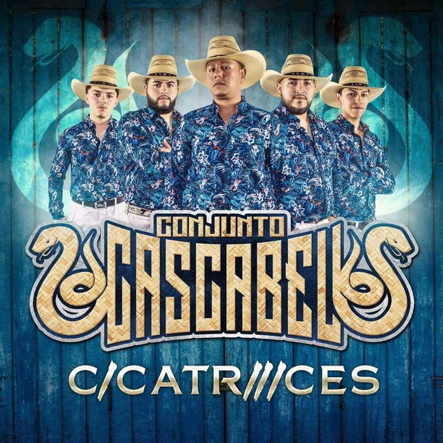 Cicatrices