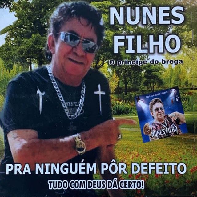 Pra Ninguém Pôr Defeito
