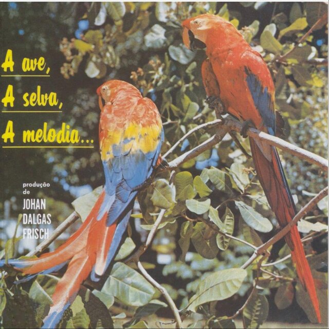 A Ave, A Selva, A Melodia