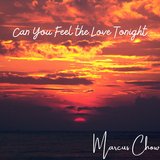 Can You Feel the Love Tonight (Piano Instrumental)