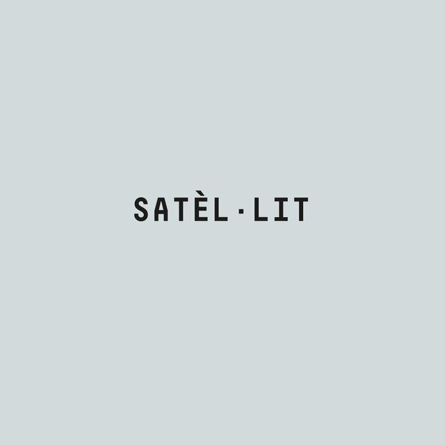 Satèl·lit