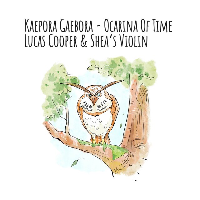 Kaepora Gaebora (From "Ocarina of Time") (Piano & Violin)
