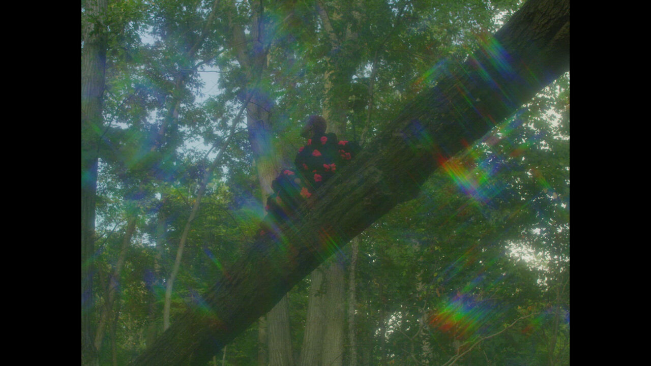 Technicolor Love
