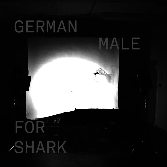 German For Shark