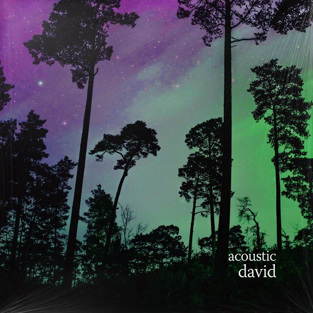 david (acoustic)