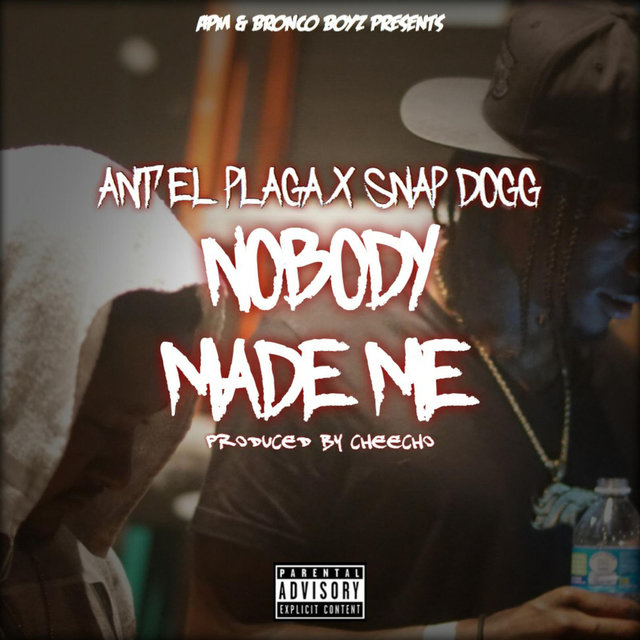 Nobody Made Me