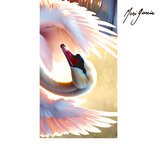 Cisne Blanco