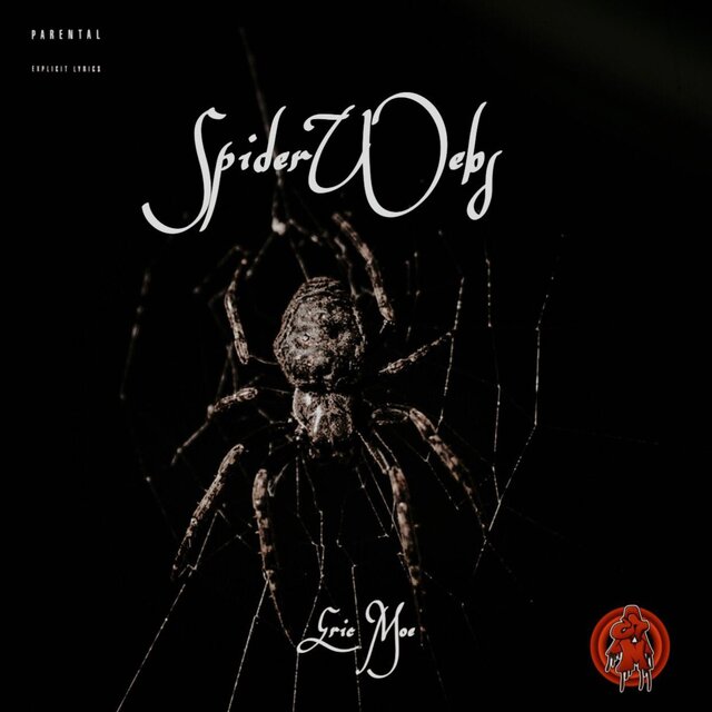 Spider Webs