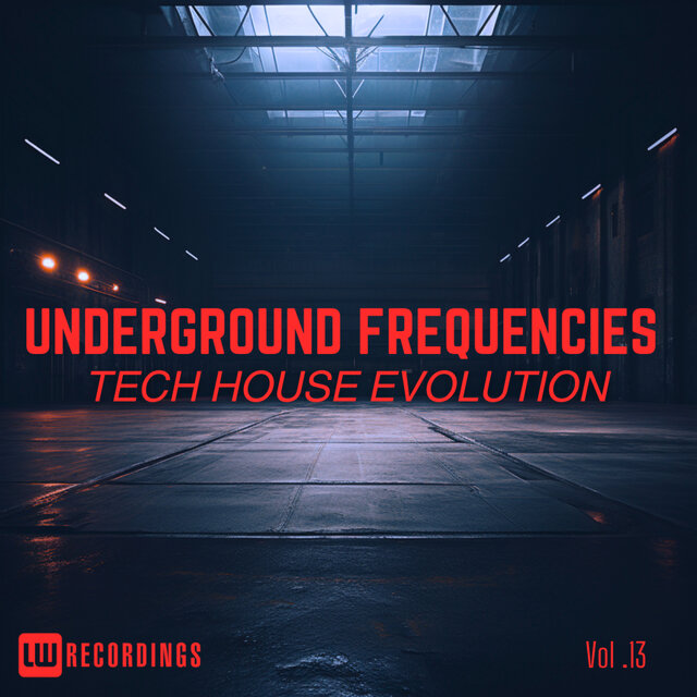 Underground Frequencies: Tech-House Evolution, Vol. 13