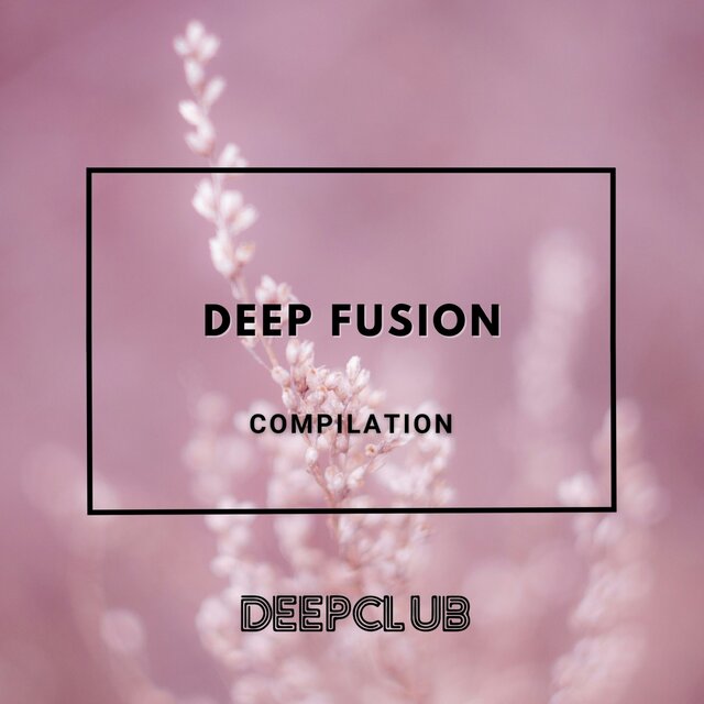 Deep Fusion