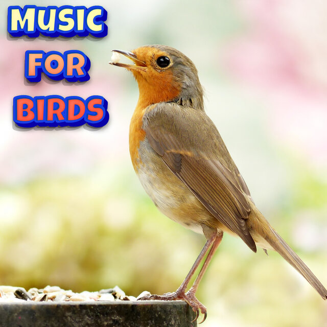 Calming Music For Birds Budgies Relaxing Bird Songs