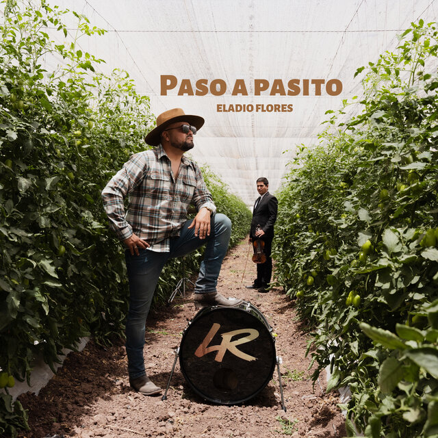 Paso a Pasito