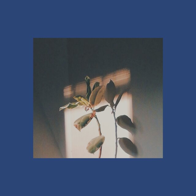 beyond
