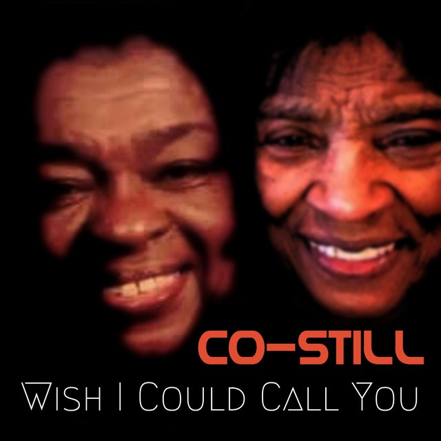 Wish I Could Call You (feat. Lil Chris Kids)