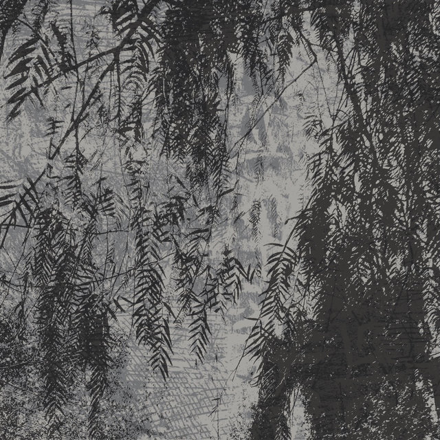 BAMBOO