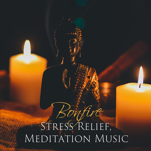 Relaxing Forest Music para sa Pagtulog at Pagbabalanse ng Katawan