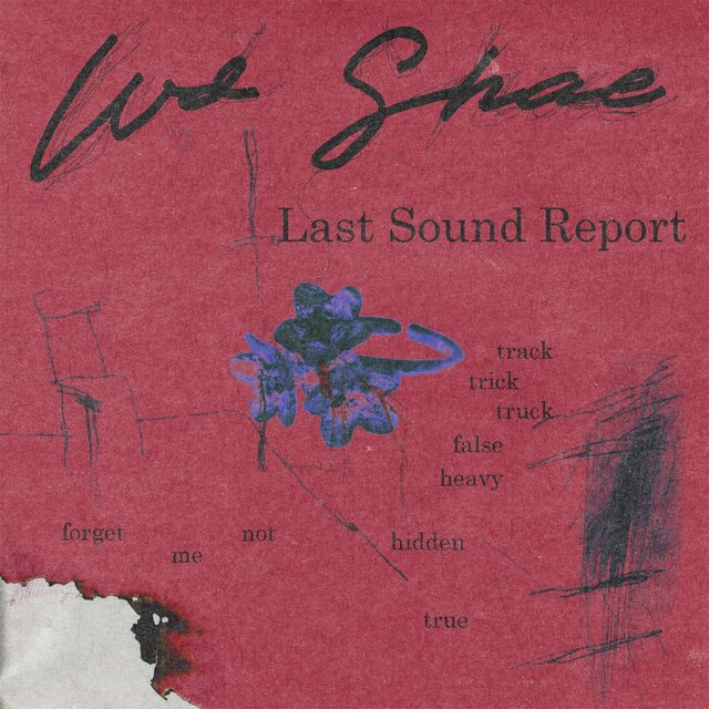 Last Sound Report