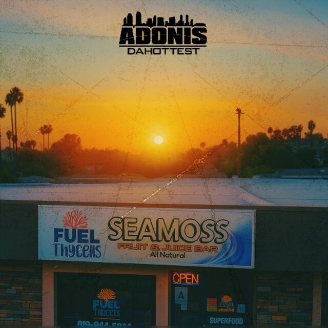 Seamoss Shop (Fuel Thy Cells)