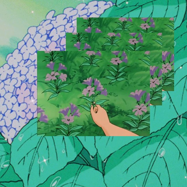 Green Ginseng (Deluxe)