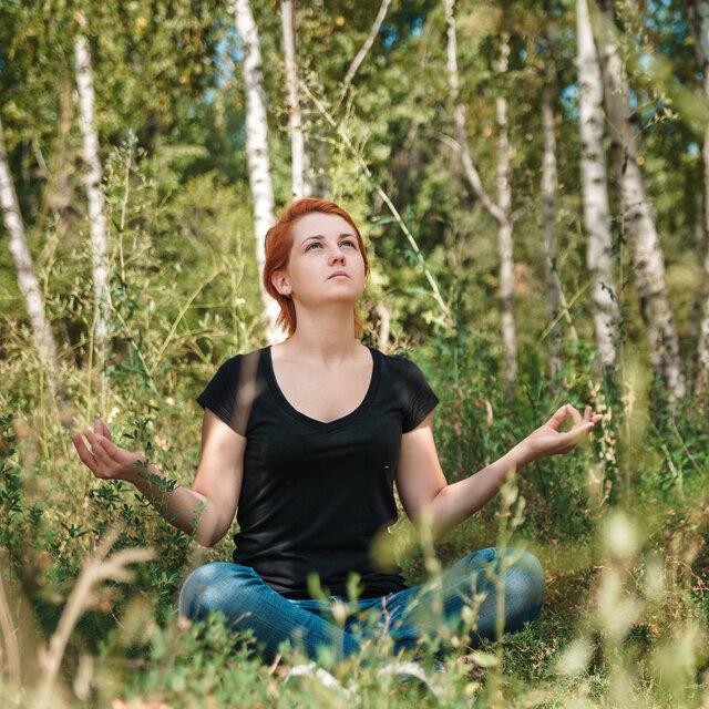 Owl Song Meditation: Melodic Wind and Bird Song for Deep Mindfulness