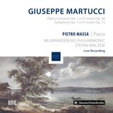 Piano Concerto No. 1 in D Minor, Op. 40: I. Allegro