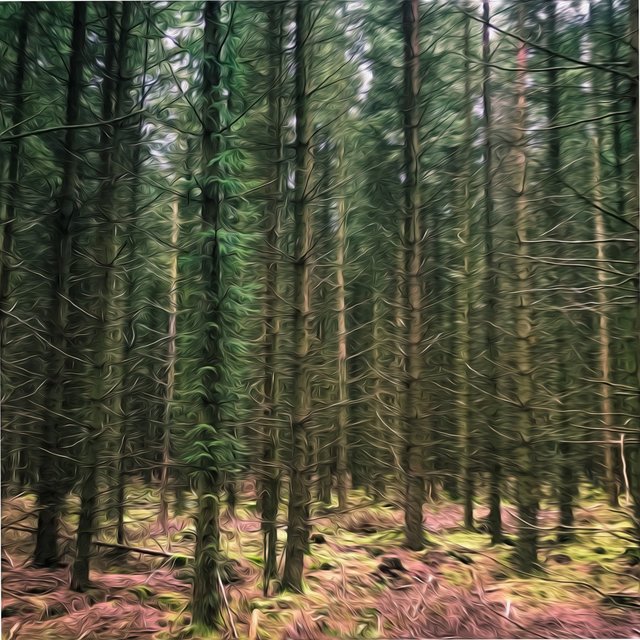 Meditation Sounds: Music For Sleeping