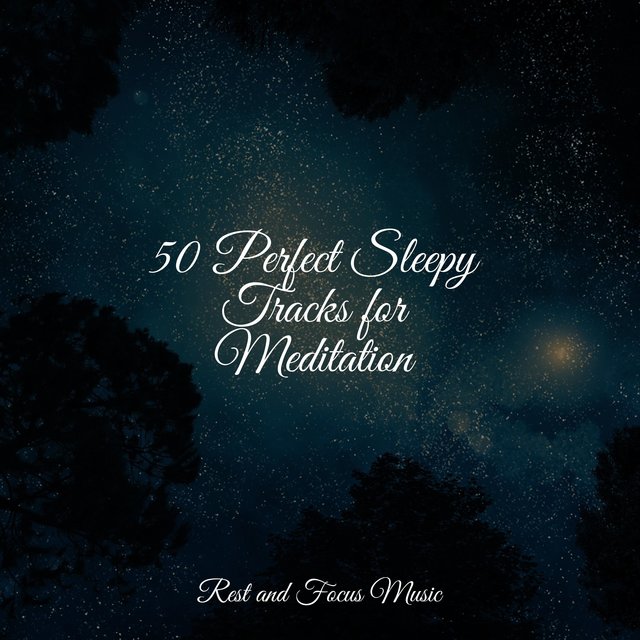 50 Perfect Sleepy Tracks for Meditation