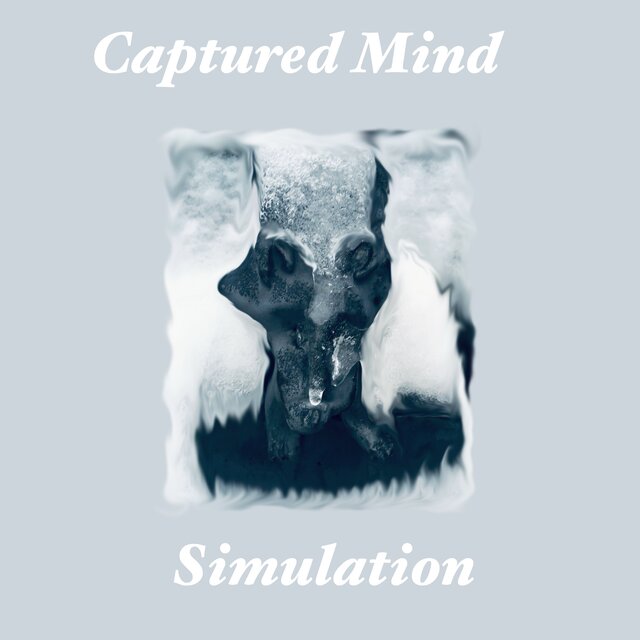 Simulation
