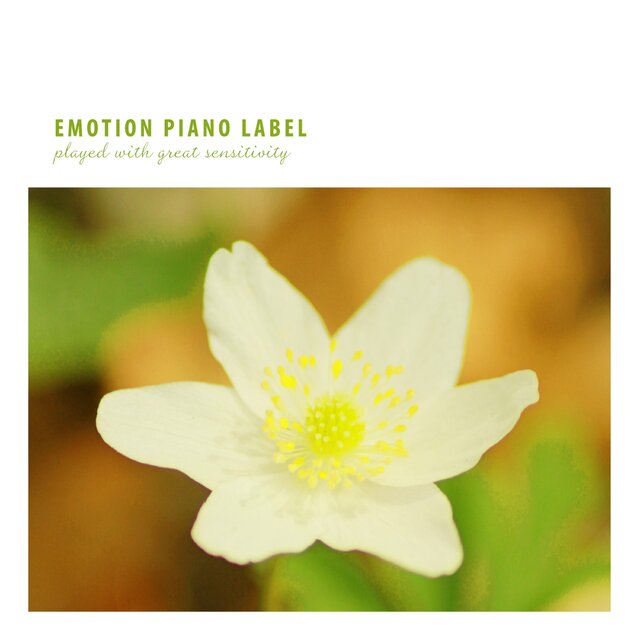 Lovely Piano Collection For Teaching