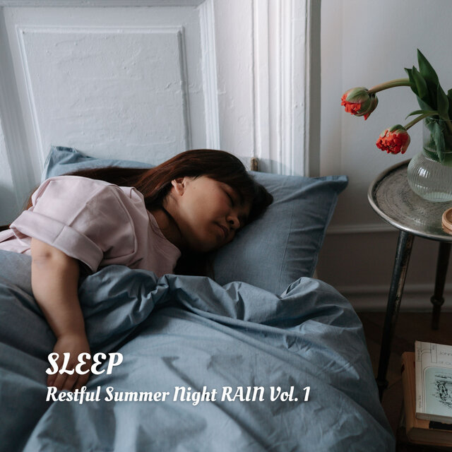 SLEEP: Restful Summer Night RAIN Vol. 1