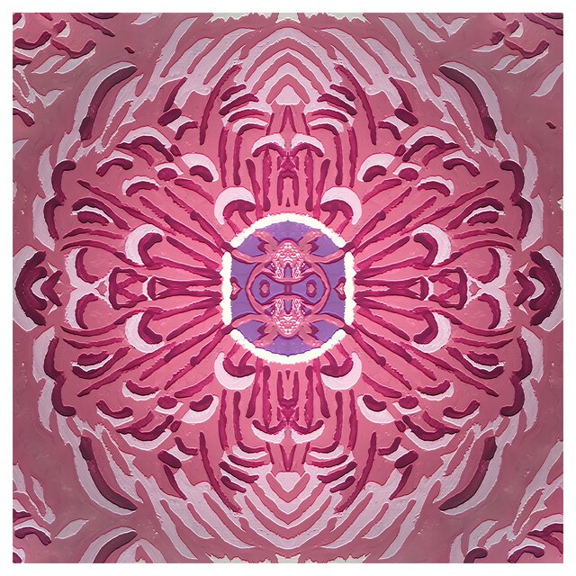 Chrysanthemum