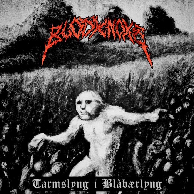 Tarmslyng i Blåbærlyng