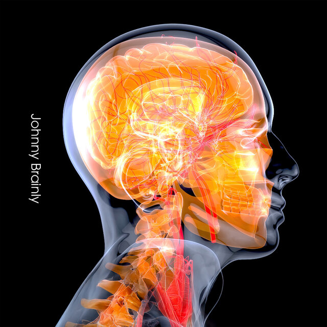 Brain Lateralization