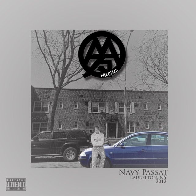 Navy Passat