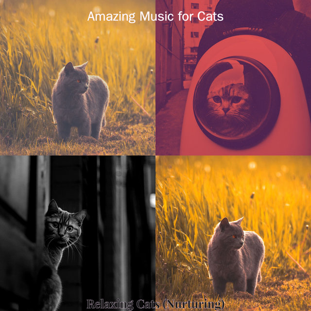 Relaxing Cats (Nurturing)