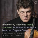 Violin Concerto in D Major, Op. 35, TH 59: II. Canzonetta Andante