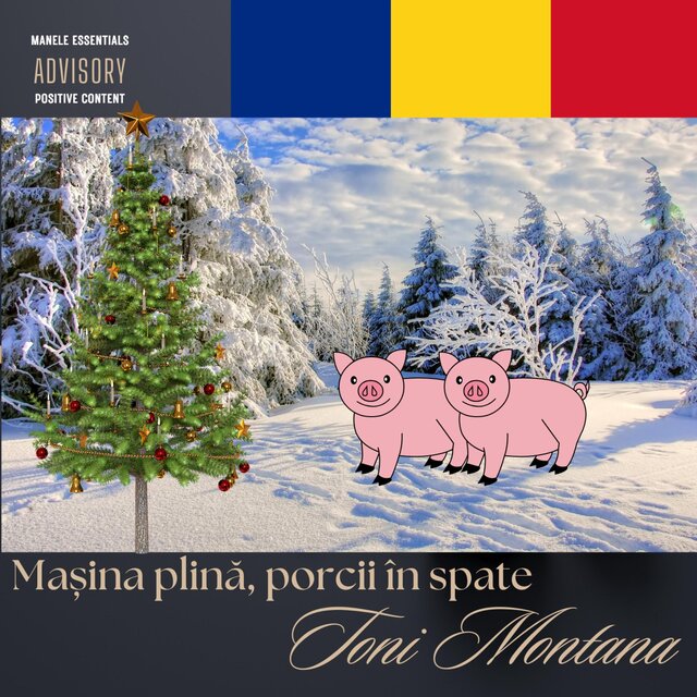 Mașina plină, porcii în spate