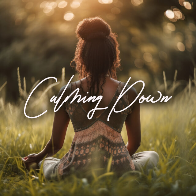 Calming Down: Music When You Are Stressed, Angry, Upset, Depressed And When You Have Had Enough Of Everything