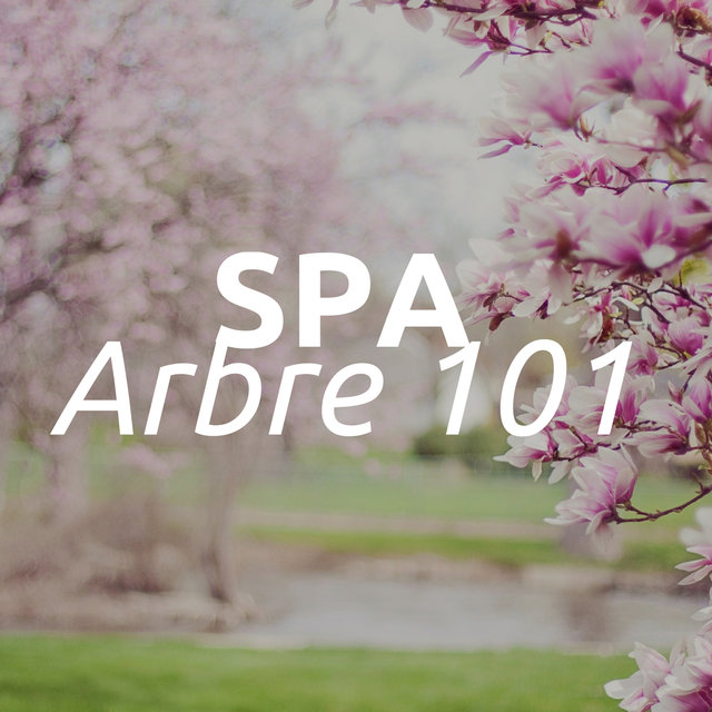 Spa Arbre 101 - la meilleure collection de sons relaxants