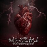 Pelo E Rotha Madi (feat. Sapphire.Ree & BraceGang)