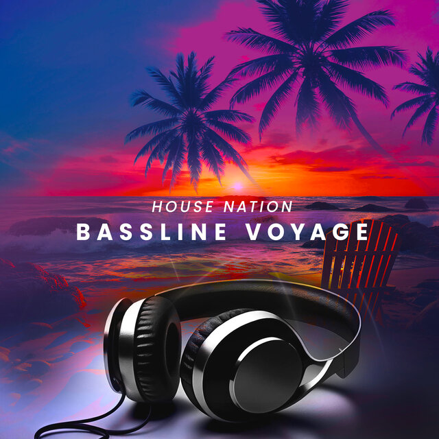 Bassline Voyage