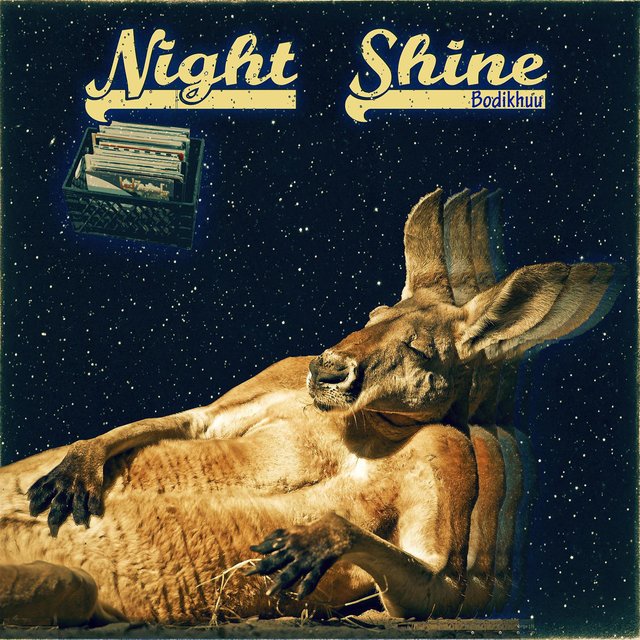 Night Shine