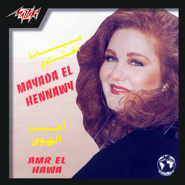 Amr El Hawa