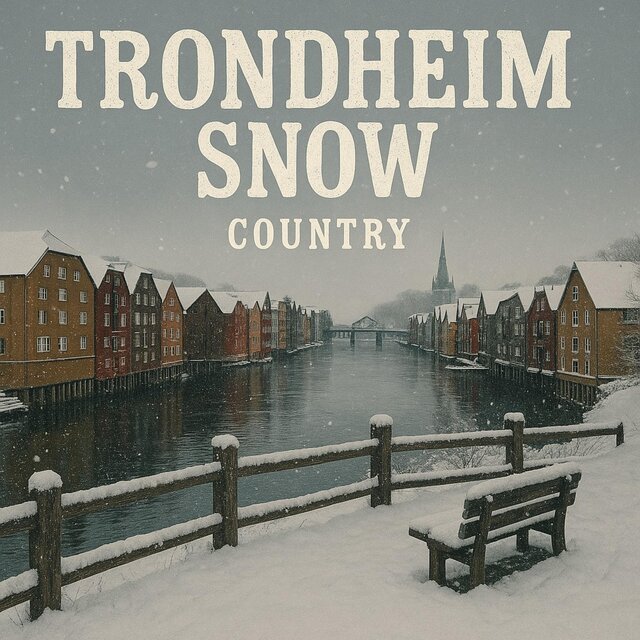 Trondheim snow