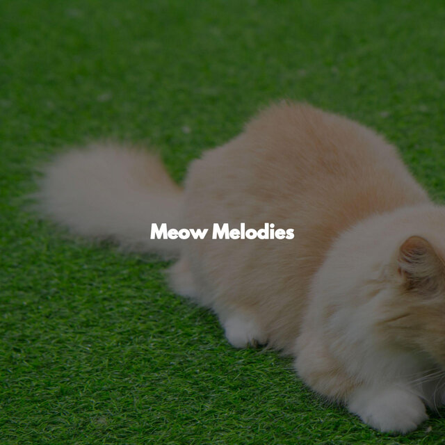Meow Melodies