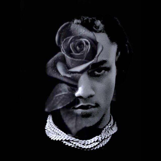 DARK ROSE