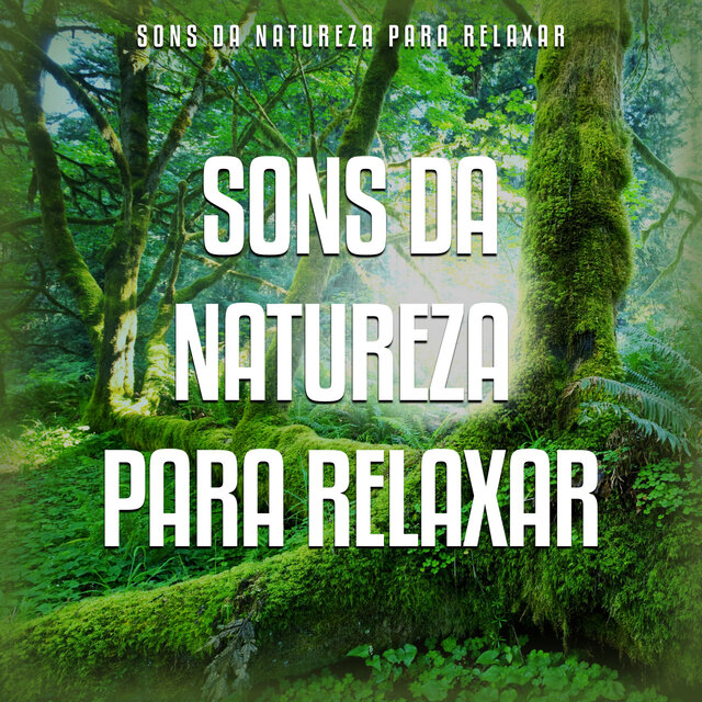 Sons da Natureza Para Relaxar